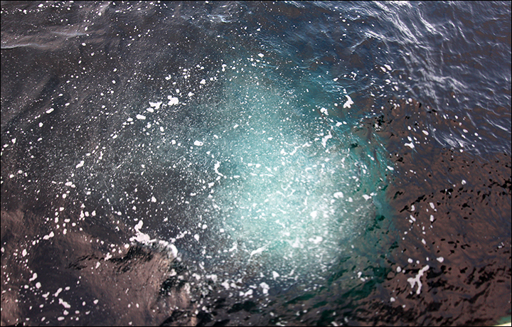 Bubbling_methane_-_expedition_2019_01.jpg