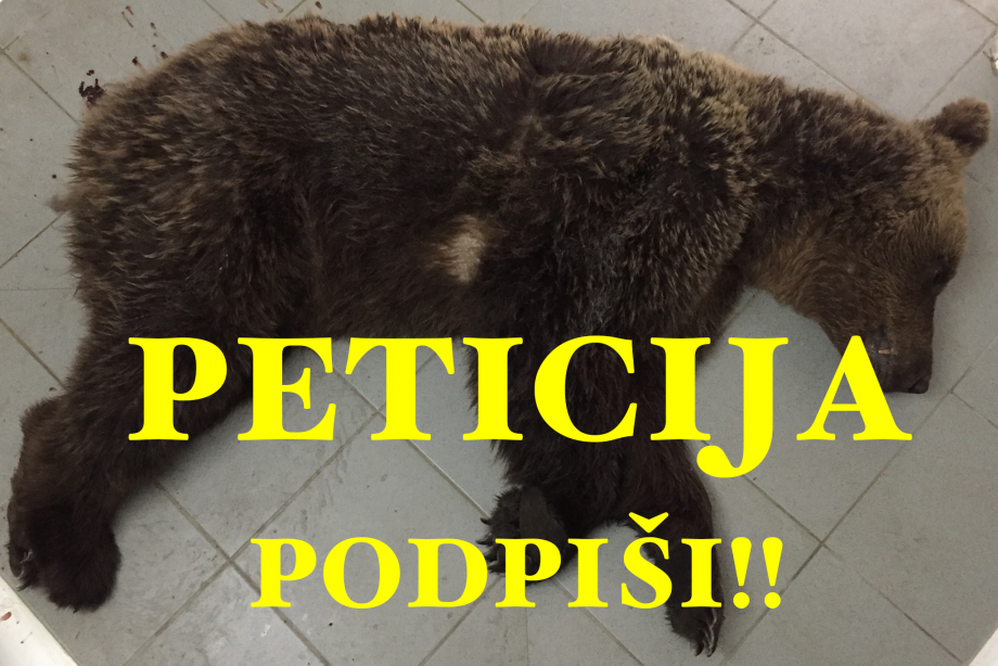 Peticija_podpisi.png