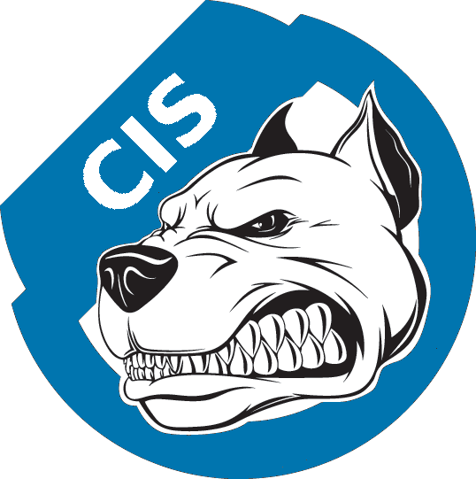 logo1CIS_(Kopie).png